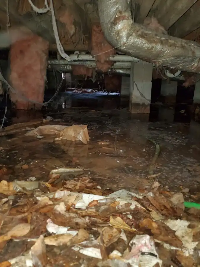 Crawl space flood assessment for Commercial Water Damage Restoration in Estero
