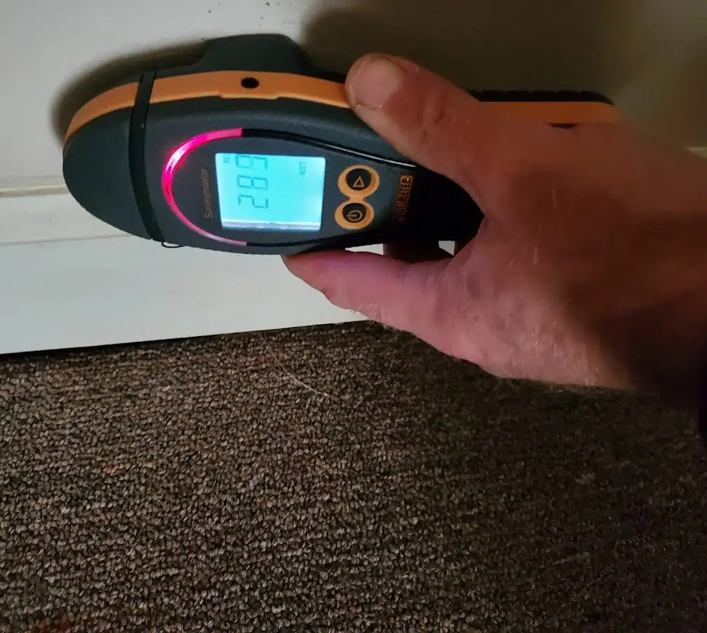 Moisture detection at baseboard during Sewage Cleanup & Sanitation in Estero