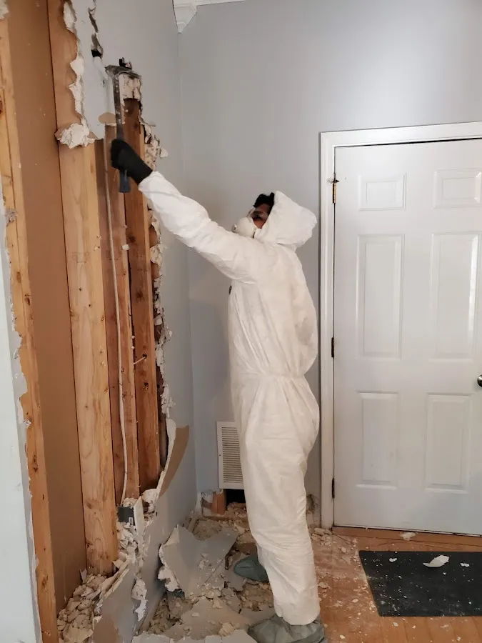 Emergency Water Damage Services in Estero, FL